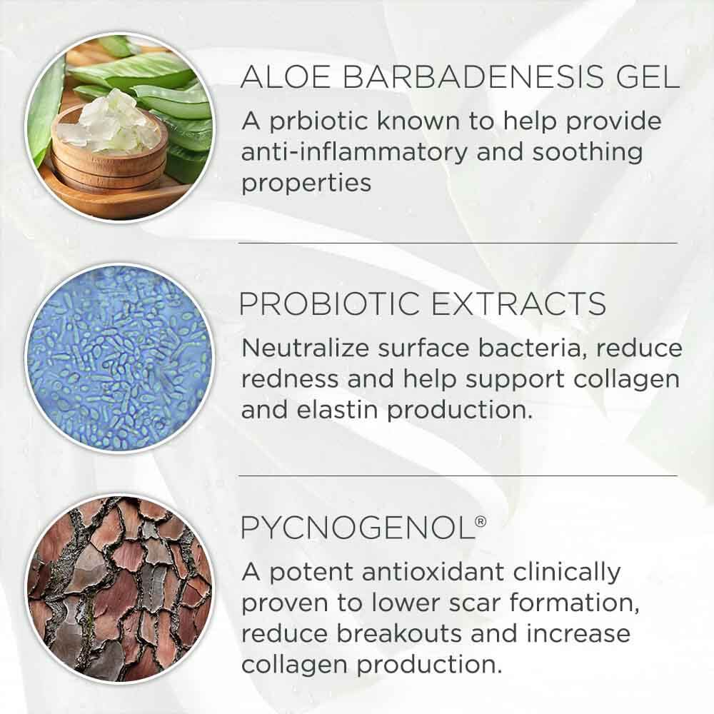 Daily Defense Moisturizer - Wholesale - LaFlorePRO